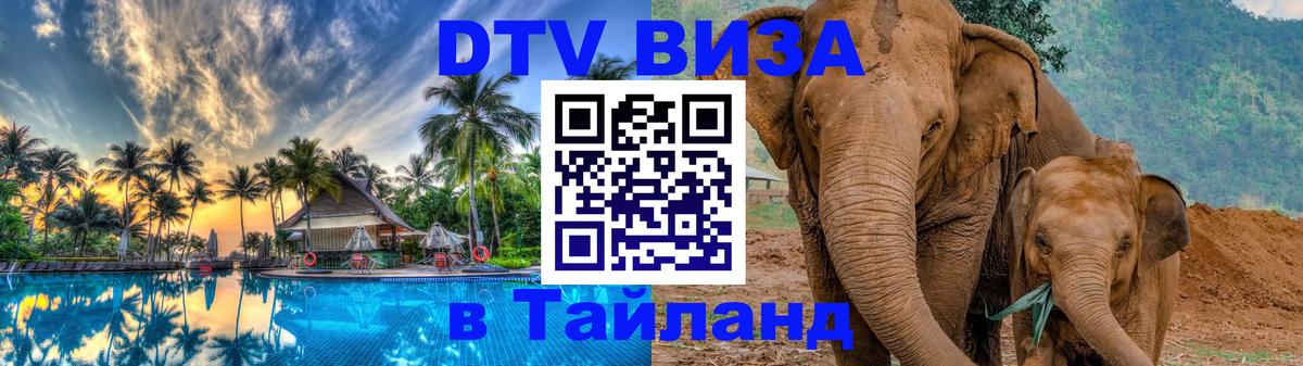 Оформление DTV визы под ключ: стоимость и тарифы, только загранпаспорт - 21.11.2025 